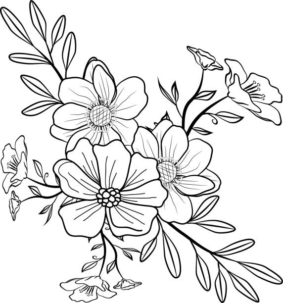 Hand drawn Doodle Floral Wreath Decorative Ornament for Border Card Invitation vector art illustration
