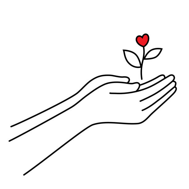 Hand drawn doodle hands hold the sprout of love. Heart-flower. Vector hands with plant icon. Concept to grow love, give love, take care of love. Valentine's day. Isolated on a white background. Hand drawn doodle hands hold the sprout of love. Heart-flower. Vector hands with plant icon. Concept to grow love, give love, take care of love. Valentine's day. Isolated on a white background. growth drawings stock illustrations