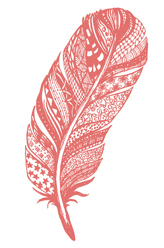 Hand Drawn Doodled feather With Intricate Patterns