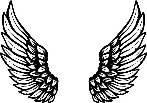 손으로 그려 독수리 날개 그림을 흰색 배경에 고립. 포스터, 카드, 배너, 기호, 상징, t-셔츠를 위한 디자인 요소입니다. - 동물 날개 stock illustrations