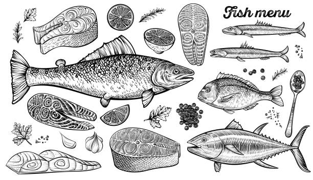 Hand drawn fishes and fish steak, vector illustration. Salmon, dorado, tuna and anchovies with spices, lemon, parsley. Hand drawn fishes, vector illustration. Salmon, dorado, tuna and anchovies sketches. Caviar and prepared fish steak with spices, lemon, parsley. roe stock illustrations