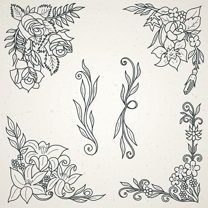 Hand Drawn Floral Design Elements for Frames