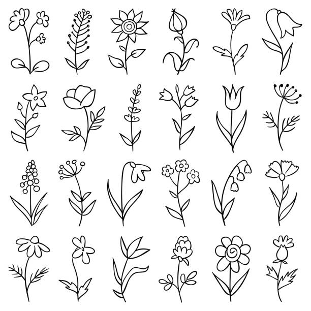 Hand drawn flowers Set of hand drawn flowers. Doodle design elements. flower drawings stock illustrations