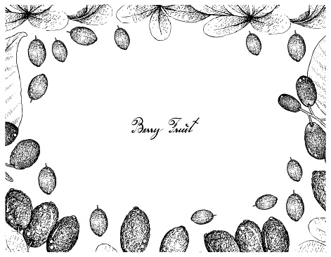 jamun clipart vector in ai svg eps or psd