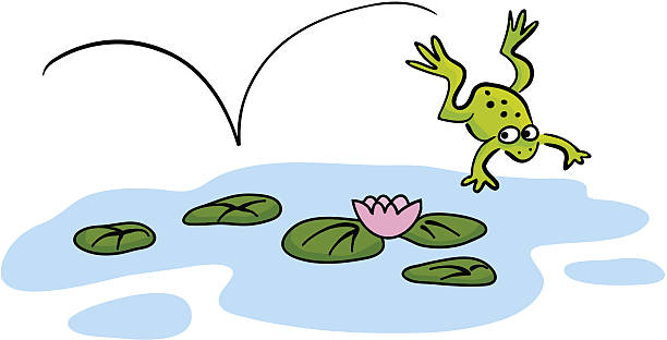 Hand drawn frog in pond vector art illustration