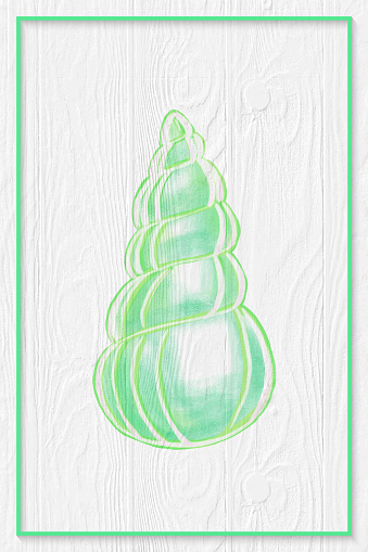 Hand Drawn Green Sea Shell with White Washed Wood Paneling Background, Decorative Art . Watercolor Sea Shell Vector Background.