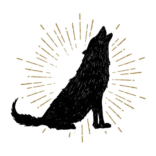 ilustrações de stock, clip art, desenhos animados e ícones de hand drawn halloween label with textured vector illustration. - lobo cão selvagem