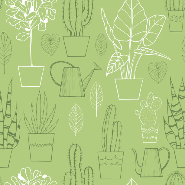 Hand drawn houseplants. Vector  pattern . Hand drawn houseplants. Vector seamless pattern . gardening patterns stock illustrations