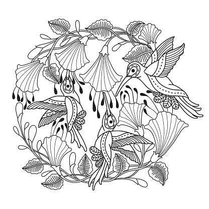 Hand Drawn Hummingbirds And Flower For Adult Coloring Page Stock