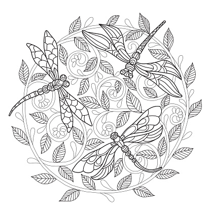 Hand drawn illustration of dragonfly in  style