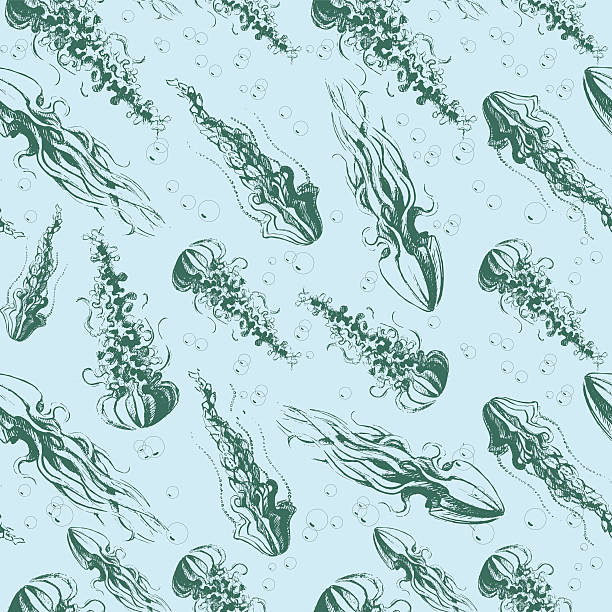 ręcznie rysowane jellyfish - medusa stock illustrations