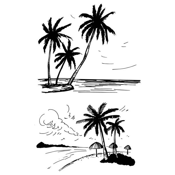 Hand drawn landscapes with palm trees. Hand drawn landscapes with palm trees. Vector sketch  illustration. summer silhouettes stock illustrations
