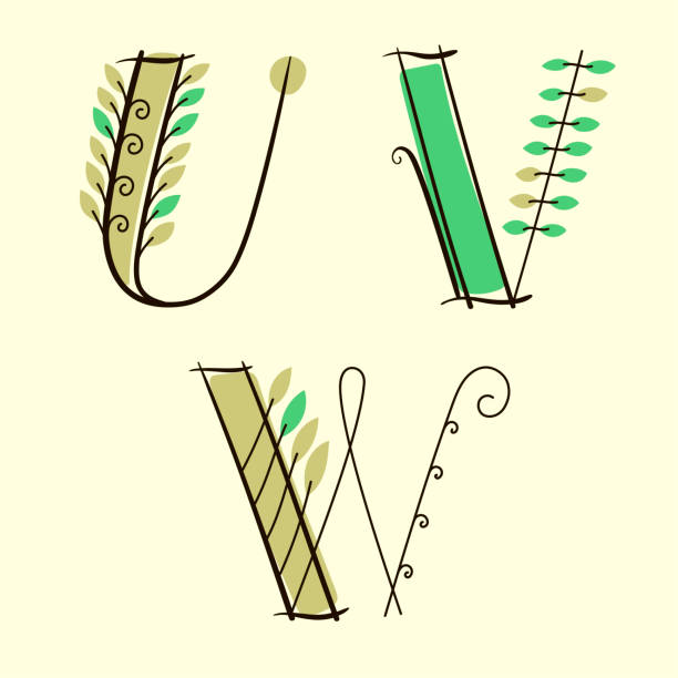 Hand drawn letters "U", "V", "W" Alphabet Vector Set with green leaves drawing of a fancy letter v stock illustrations