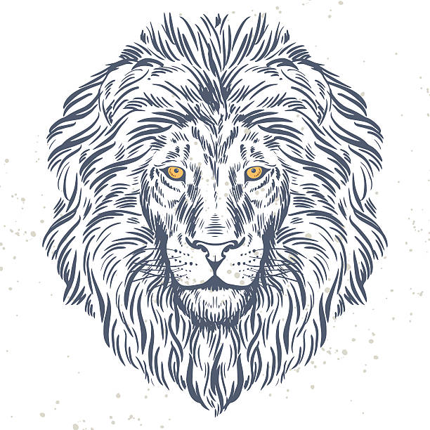 ilustrações de stock, clip art, desenhos animados e ícones de desenhado à mão ilustração de cabeça de leão - lion