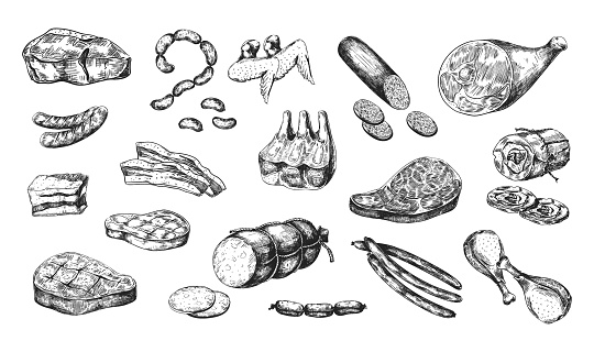 Hand drawn meat products. Parts of pork and beef, pieces with bones or fillets. Smoked chicken. Sausages and ham. Butchery shop menu. Cooking ingredients. Vector monochrome food set