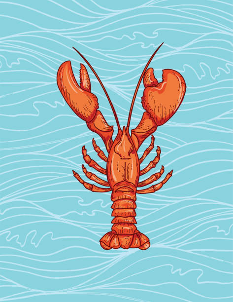 Download Lobster Boat Illustrations, Royalty-Free Vector Graphics ...