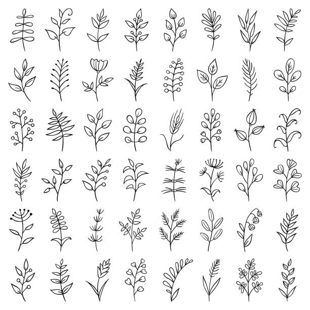 Hand drawn plants Set of hand drawn plants. Doodle design elements. growth drawings stock illustrations