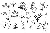 Set of simple hand drawn leaves, herbs and flowers outlines