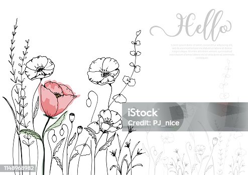 istock Hand drawn poppy blossom with black line 1148968982