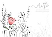 Hand drawn poppy blossom with black line and watercolor style. isolated vector use for design, greeting card, nature banner, Floral background. - Vector