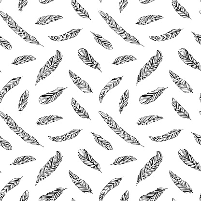 Hand drawn rustic ethnic decorative feathers.