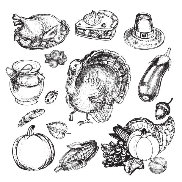 hand drawn sketch illustration thanksgiving food  thanksgiving diner stock illustrations
