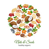 Poster round template with nuts and seeds. Cola nut, pumpkin seed, peanut and sunflower seeds. Pistachio, cashew, coconut, hazelnut and macadamia. Vector illustration.