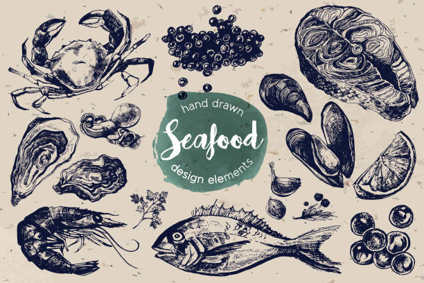 Hand Drawn Sketch Set of Seafood Including crab, red and black caviar, oyster, mussel, shrimp, salmon steak and dorado.  roe stock illustrations