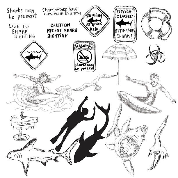 illustrazioni stock, clip art, cartoni animati e icone di tendenza di disegno a mano sketh set con gli squali e surfisti. - vietato tuffarsi