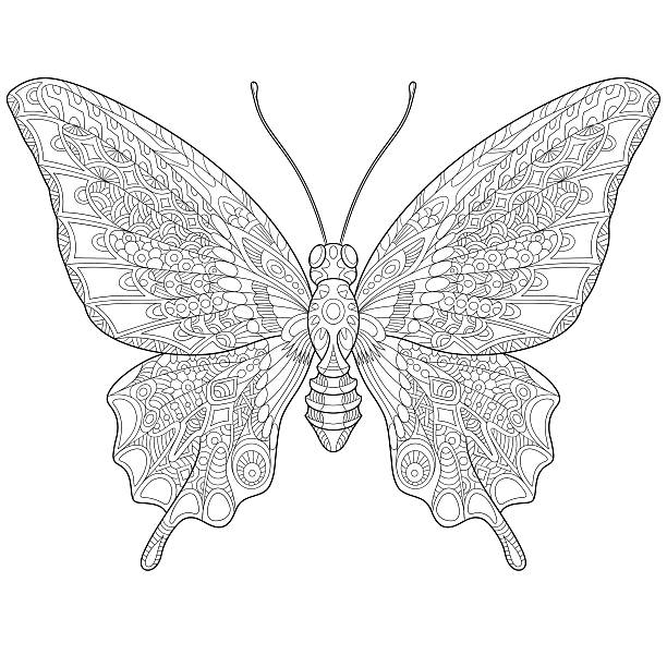 Hand drawn stylized butterfly Hand drawn stylized cartoon butterfly, isolated on white background. Sketch for adult antistress coloring book pages, T-shirt emblem, logo or tattoo with design elements. butterfly coloring stock illustrations
