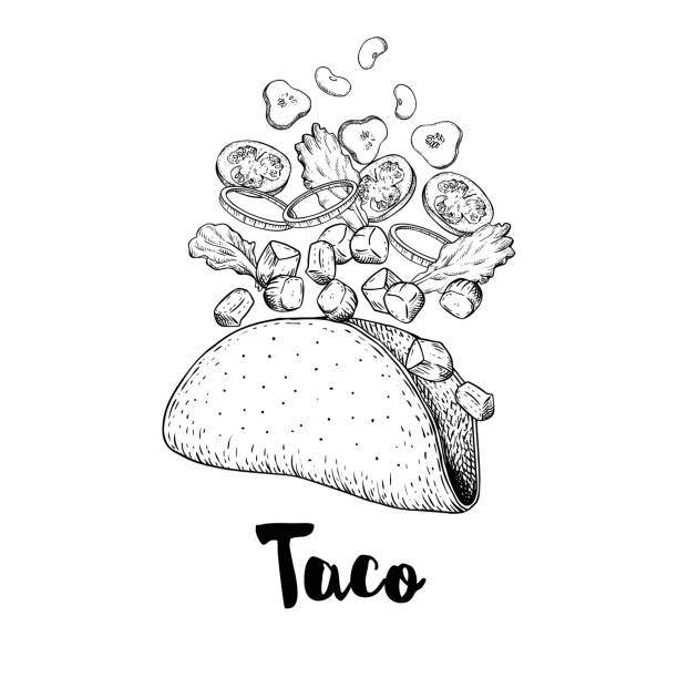 illustrations, cliparts, dessins animés et icônes de taco dessiné à la main. illustration de modèle d'esquisse du taco de constructeur. isoler les ingrédients volants. morceaux de viande, rondelles d'oignon, tomate, concombre, haricots, tortilla. idéal pour le menu du restaurant. fast-food. dessin vecto - légume volant