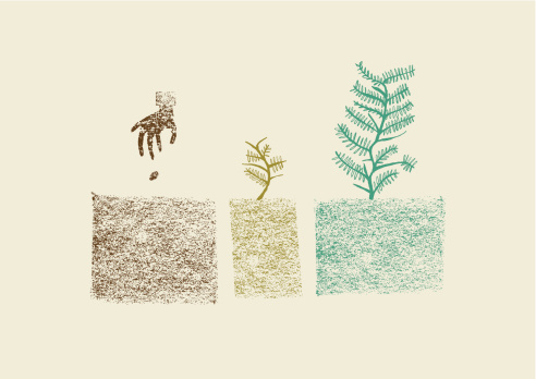 Hand drawn tree growing process in three steps vector illustration