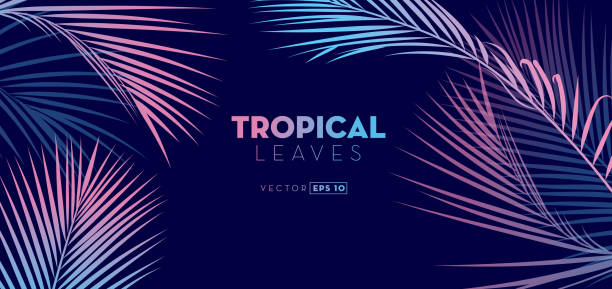 Hand drawn Tropical Leaves background Vector illustration of a set of Hand drawn Tropical Leaves background. EPS 10 palm trees stock illustrations