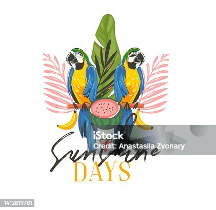 istock Hand drawn vector abstract cartoon summer time graphic illustrations art with exotic tropical sign with rainforest Parrot Macaw birds,watermelon and Sunshine days text isolated on white background 1412819781