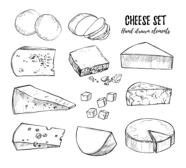 Hand drawn vector illustration. Cheese set (mozzarella, blue cheese, gouda, parmesan, maasdam etc). Isolated on white background. Design elements in sketch style. Perfect for packaging, menu, cards, blogs, banners Hand drawn vector illustration. Cheese set (mozzarella, blue cheese, gouda, parmesan, maasdam etc). Isolated on white background. Design elements in sketch style. Perfect for packaging, menu, cards, blogs, banners cheese drawings stock illustrations