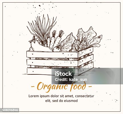 istock Hand drawn vector illustration - Fresh vegetables. Supermarket. 508316846