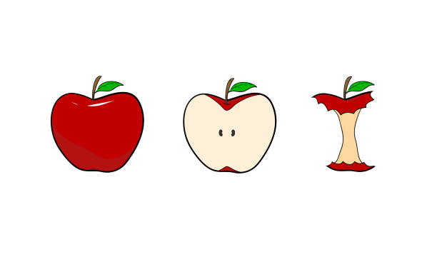 413 Cartoon Of Apple Cut Half Illustrations Clip Art Istock