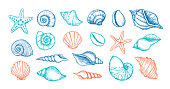 istock Hand drawn vector illustrations. Marine background with seashells. Collection of shell, sink and starfish. Perfect for invitations, fabric, textile, linens, posters, prints, banners 1306075259
