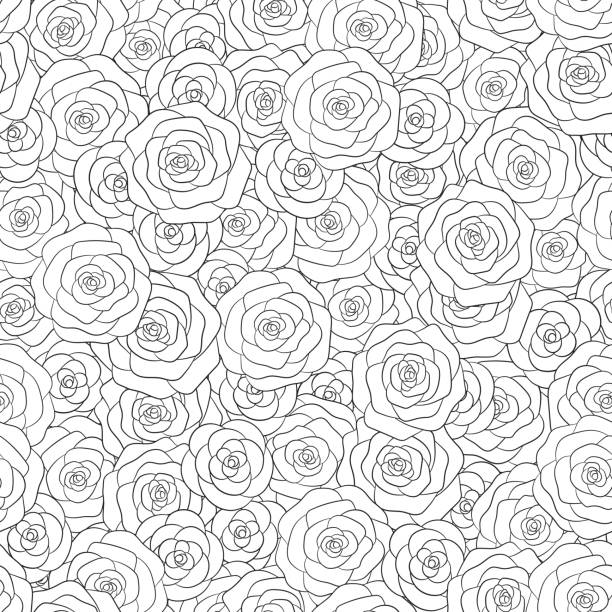 Hand drawn vector white roses seamless pattern. Floral ornament for adult and kids coloring books. Hand drawn vector white roses seamless pattern. Floral ornament for adult and kids coloring books. valentines day holiday illustrations stock illustrations