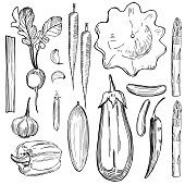 istock Hand drawn vegetables on white background. 1205019294