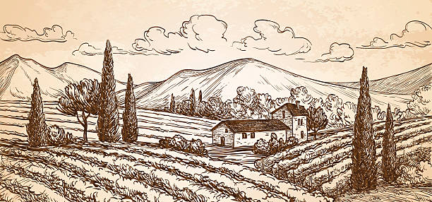 illustrations, cliparts, dessins animés et icônes de paysage viticole dessiné à la main. - vigne gravure