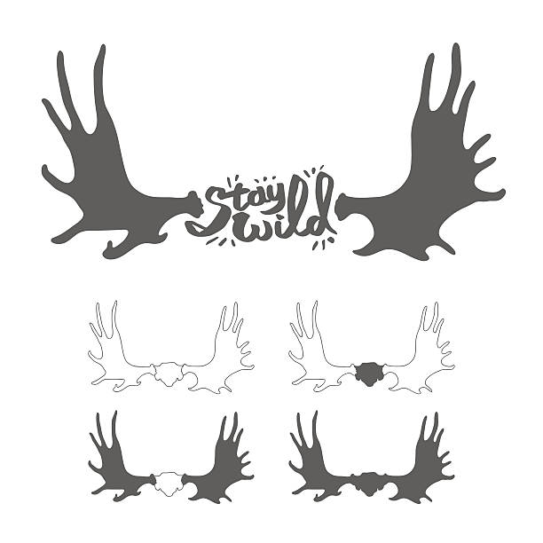 Hand drawn vintage antlers. "Stay wild" quote Hand drawn vintage antlers. "Stay wild" quote moose stock illustrations
