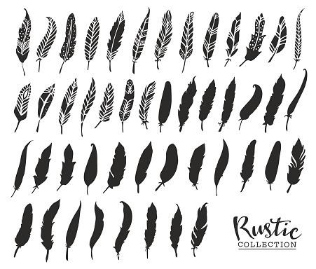 Hand drawn vintage feathers. Rustic decorative vector