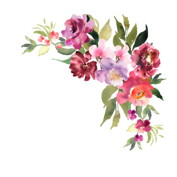 handgezogenes aquarell-bouquet auf weißem hintergrund. schöne sanfte blüten in der komposition. rosen. design für karte, einladung. vektor. - blumenbeet stock-grafiken, -clipart, -cartoons und -symbole