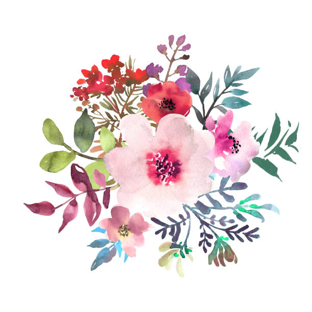 손으로 그린 수채화 꽃다발 흰색 바탕에. 조성 물에 아름 다운 부드러운 꽃입니다. 장미. 벡터 - 꽃 꽃의 구조 stock illustrations