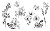 Hand drawn wildflowers and butterflies isolated on blank background. Black and white different flowers and meadow insects. Vector monochrome elegant floral set in vintage style.
