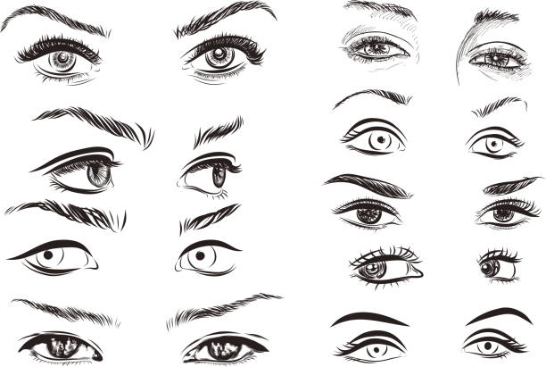 hand drawn woman eyes collection on white background. Vector hand drawn woman eyes collection on white background. Vector EPS eye drawings stock illustrations