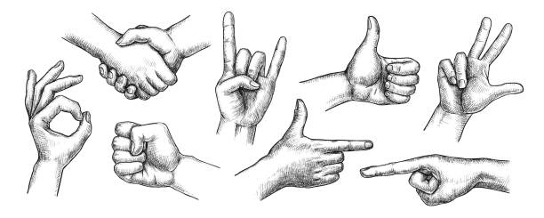 illustrations, cliparts, dessins animés et icônes de ensemble de gestes de la main - hand gravure