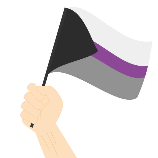 ilustraciones, imágenes clip art, dibujos animados e iconos de stock de mano sosteniendo y levantando la bandera del orgullo demisexual aislada sobre fondo blanco - demisexual