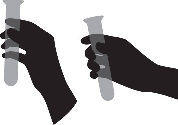 Hand Holding Test Tube Silhouettes Vector silhouettes of two hands holding test tubes. laboratory silhouettes stock illustrations